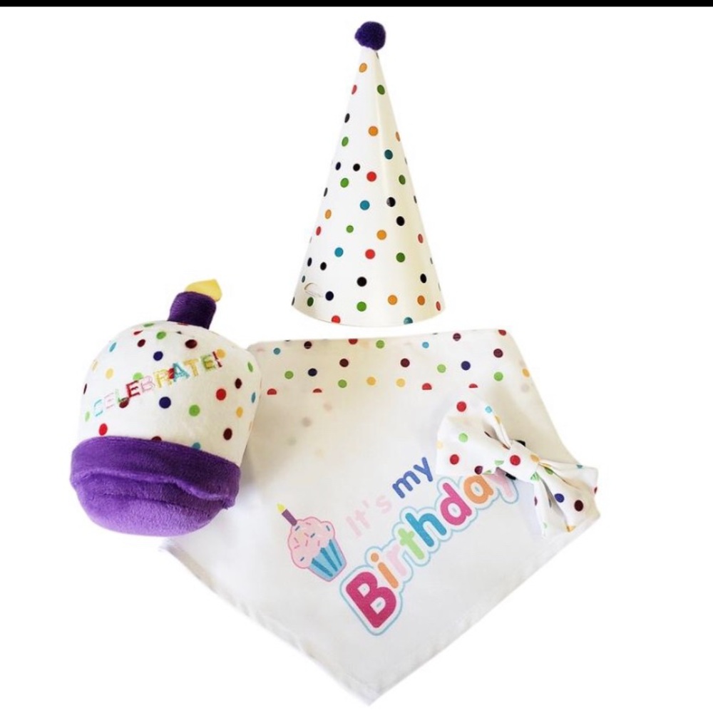 New It’s my birthday Set -Pet (small)